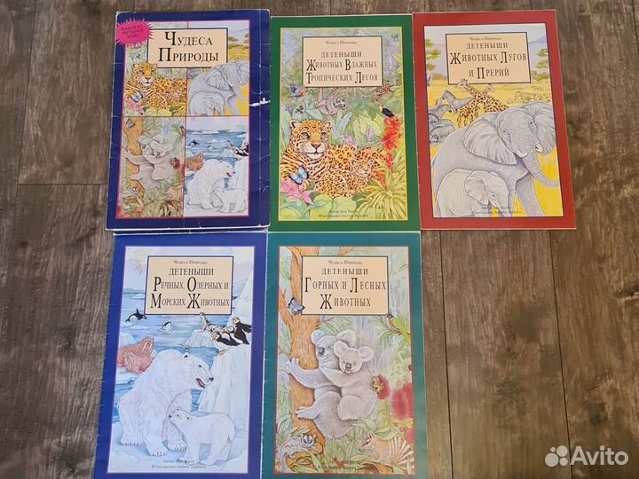 Книги детские обучающие, развивающие, раскраски