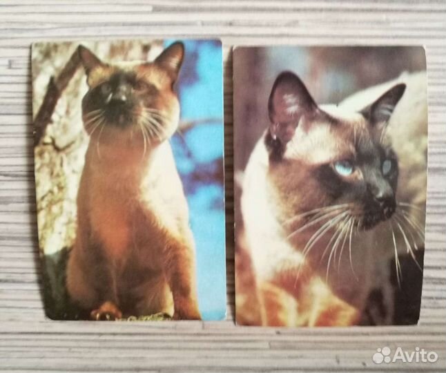 Календари карманные 