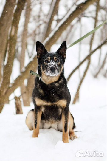 Молодая девчонка ждет своего человека