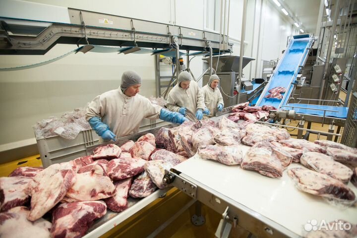 Разнорабочий/Вахта Воронеж мясокомбинат