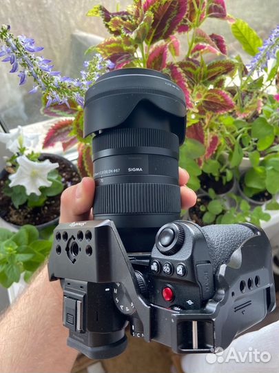 Panasonic lumix s5 sigma 28-70