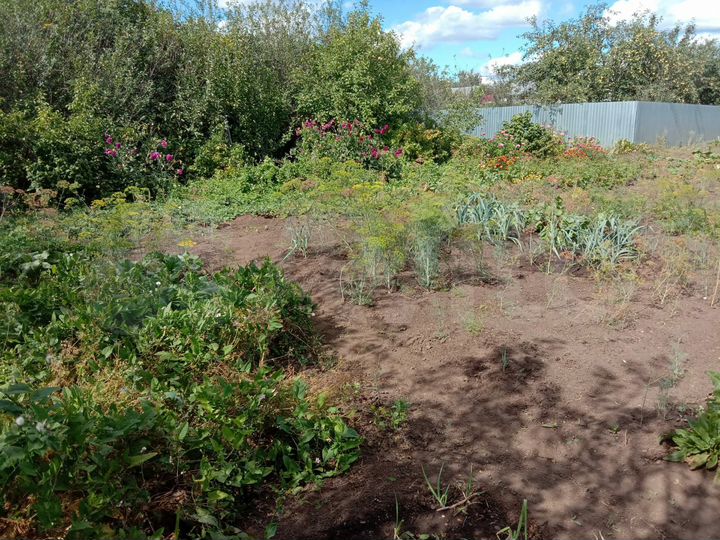 Участок 9 сот. (СНТ, ДНП)