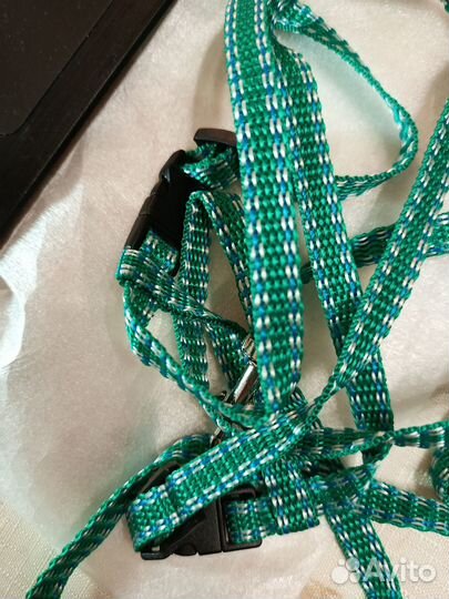 Шлейка для кошки