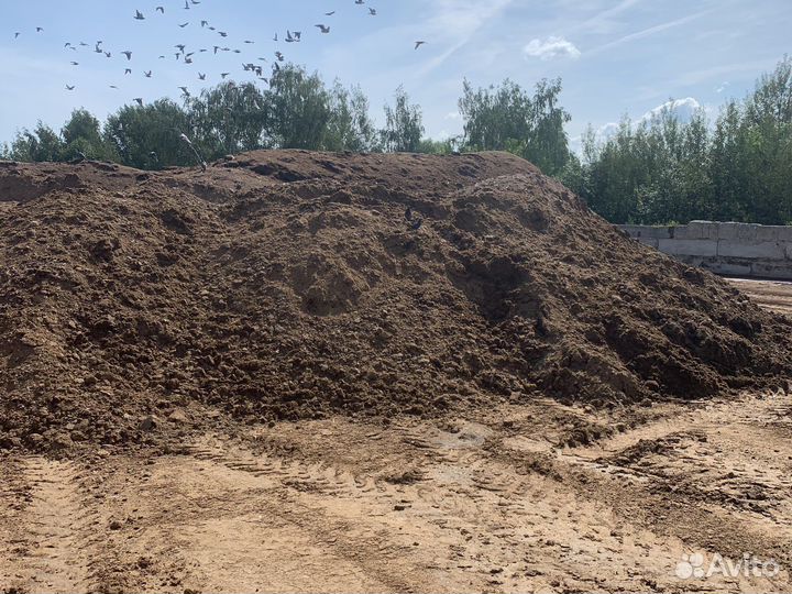 Куриный помёт