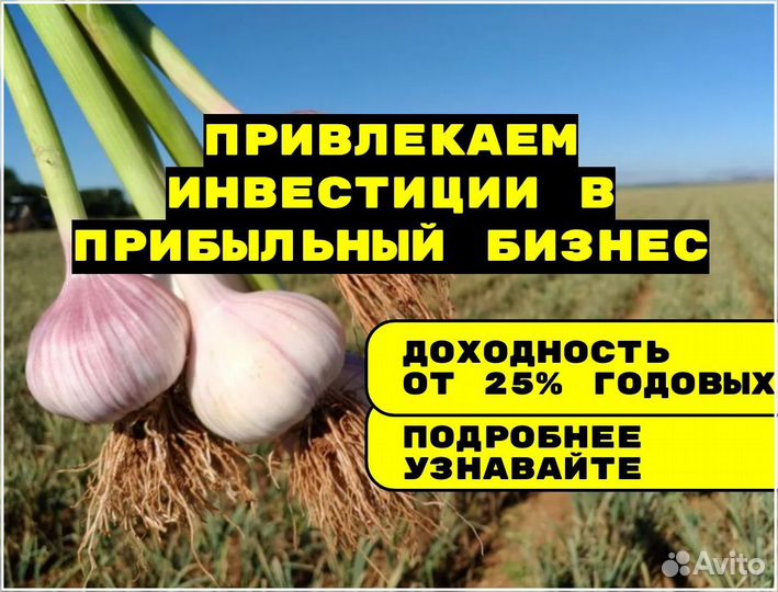 Инвестиции в сельское хозяйство