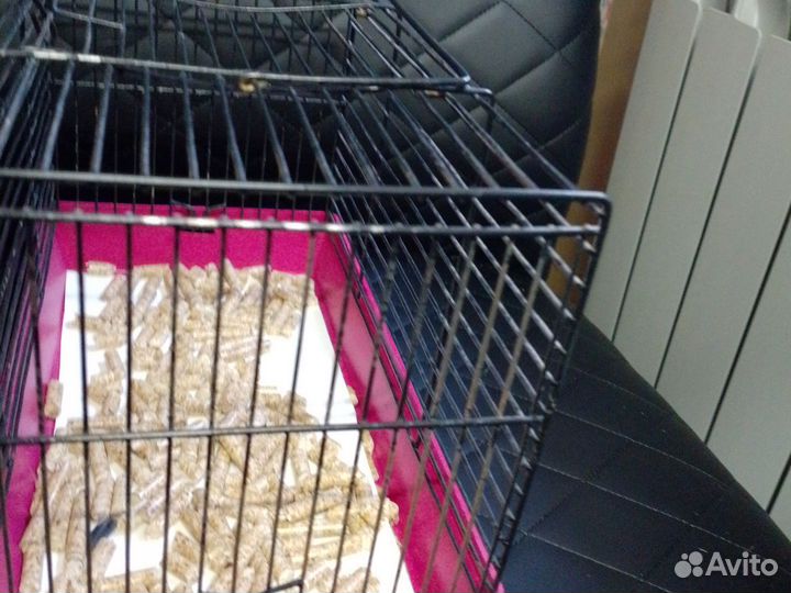 Клетка для грызунов бу