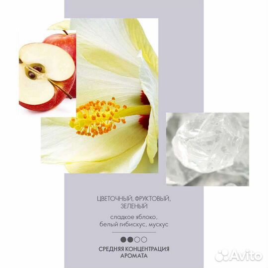 Аромат Eclat Mademoiselle