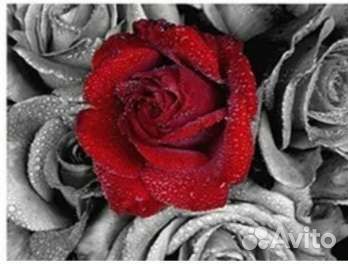 Алмазная мозаика