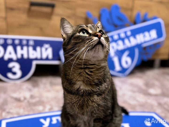 Адресник для дома и дачи