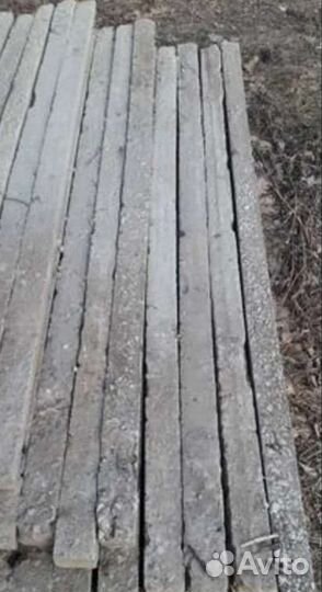 Кол виноградный