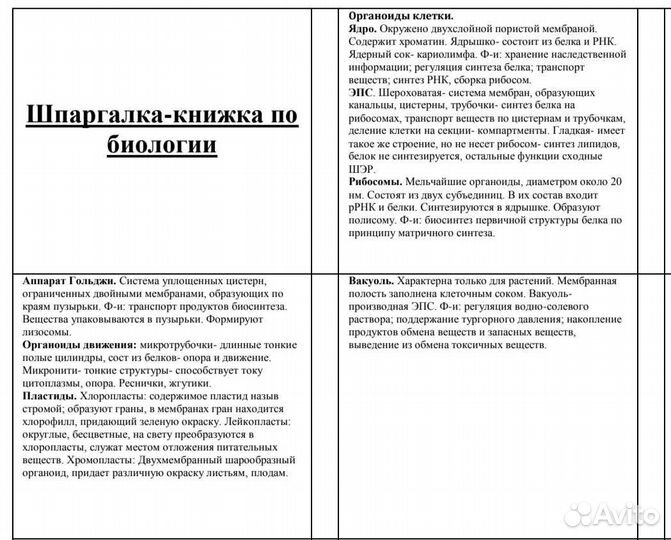 Шпаргалка для егэ по био 2023
