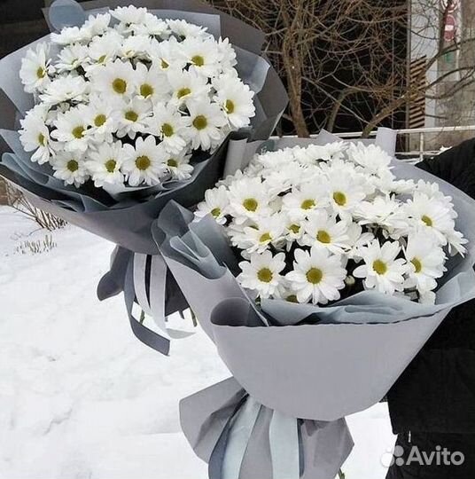 Доставка букетов и цветов. Хризантема