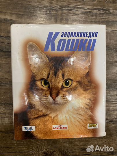 Энциклопедия кошки