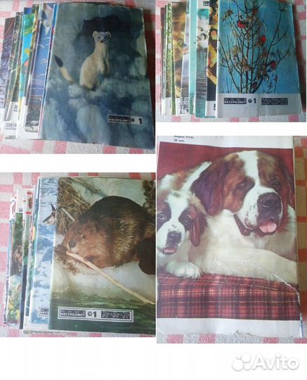 Журналы Юный натуралист