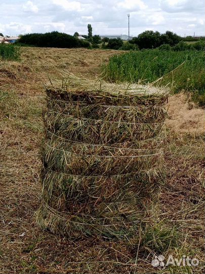 Сено в рулонах