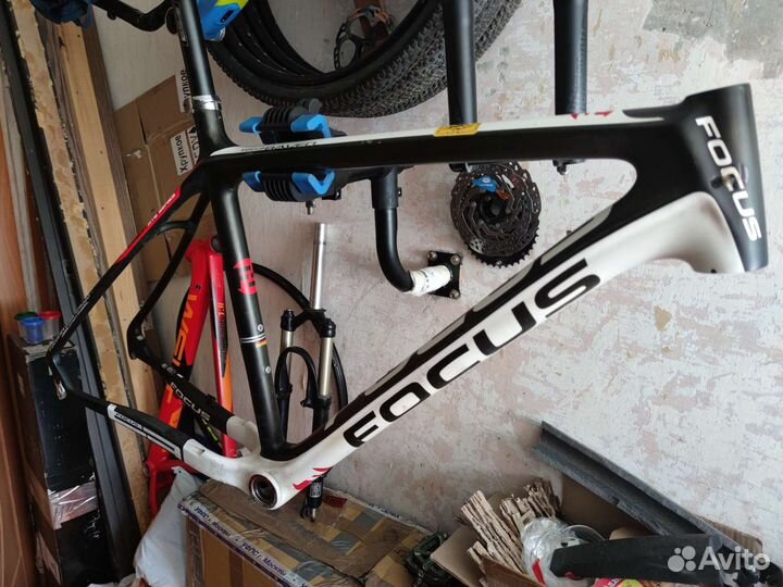 Focus Raven Carbon