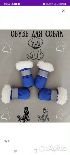 Зимние сапожки для собак