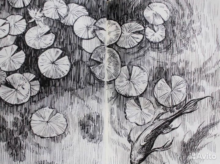 Преподаватель по скетчингу