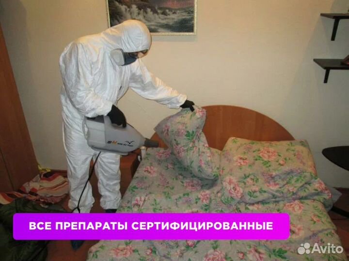 Обработка от клопов, тараканов, крыс. Частник