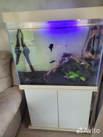 Аквариум с тумбой, фильтром и рыбками