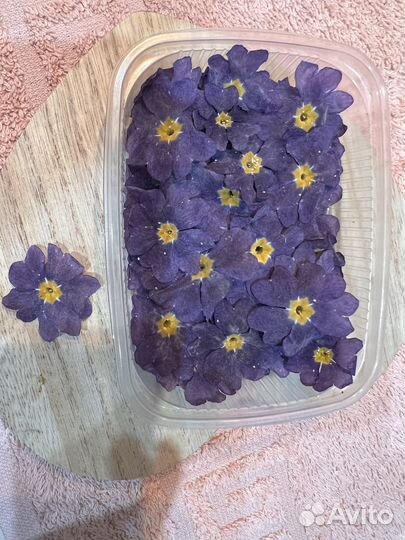 Сухоцветы ассорти