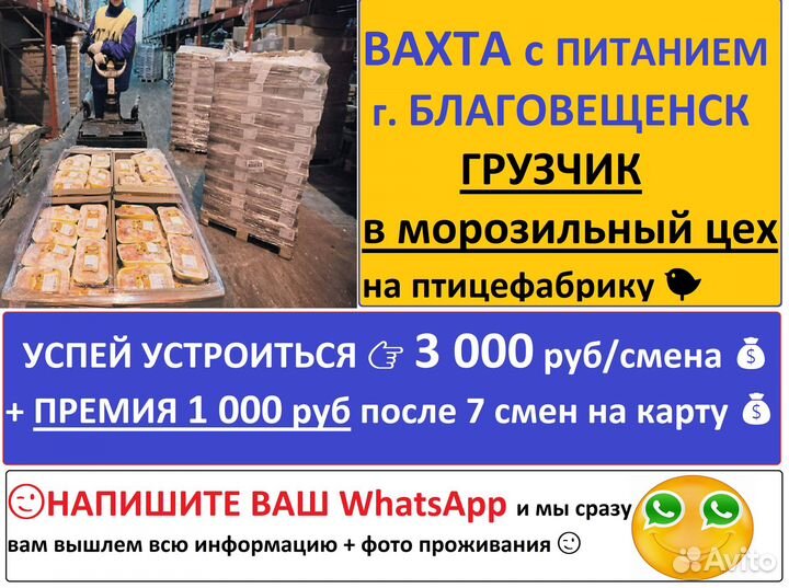 Благовещенск Грузчик вахта с питанием