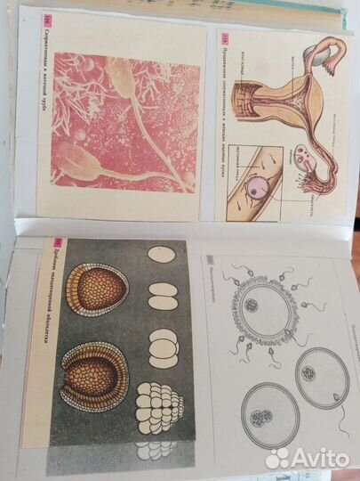 Советские учебники