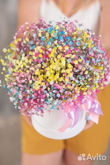 Гипсофила коробка