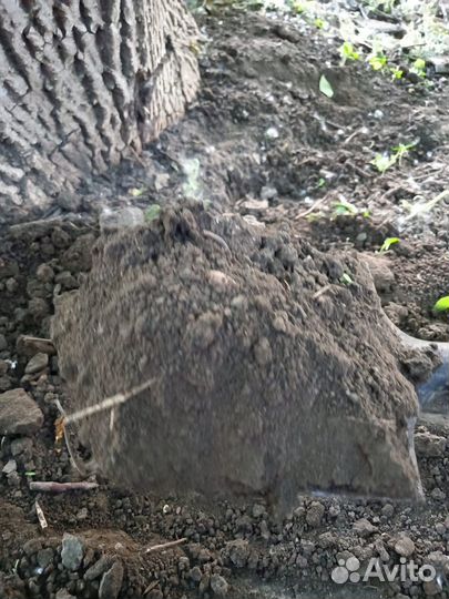 Торфосмесь, перегной, чернозем лучший, 1/15м. Куб