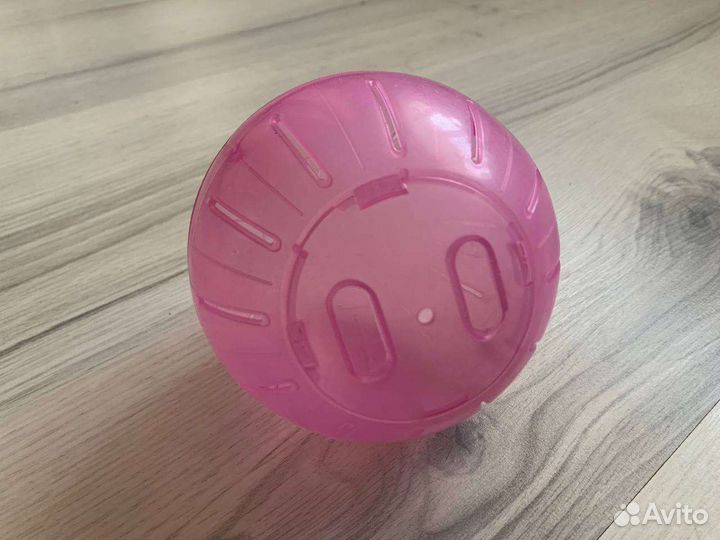 Шар, прогулка для хомяка