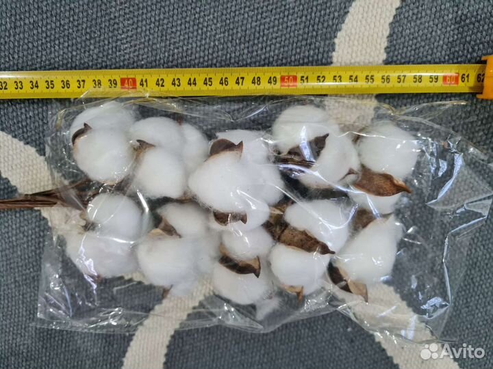 Хлопок сухоцвет букет (45-50см высота)