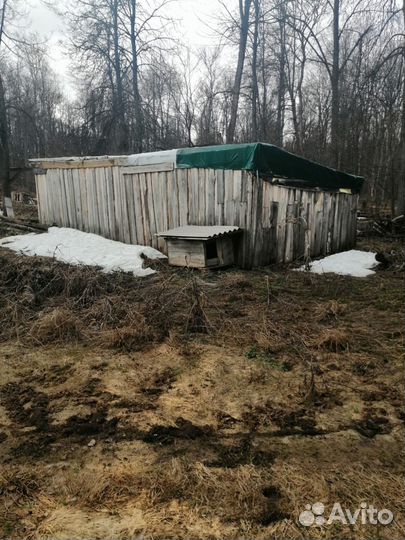 Продается пасека