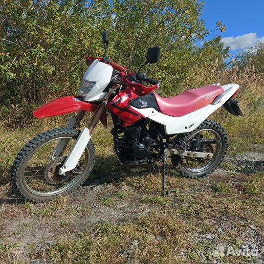 Irbis ttr 250