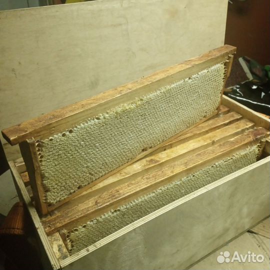 Рамки медовые