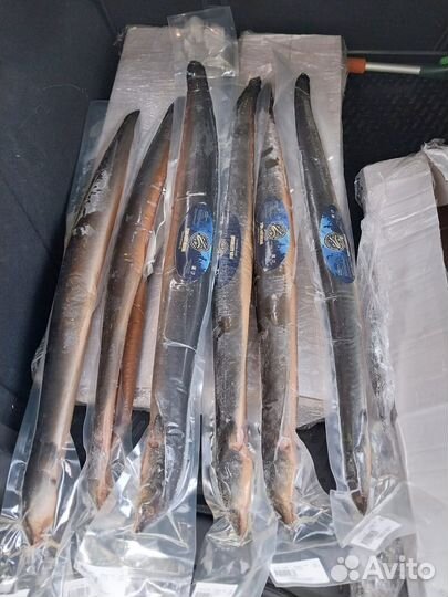 Угорь целый горячего копчения в/у замороженный