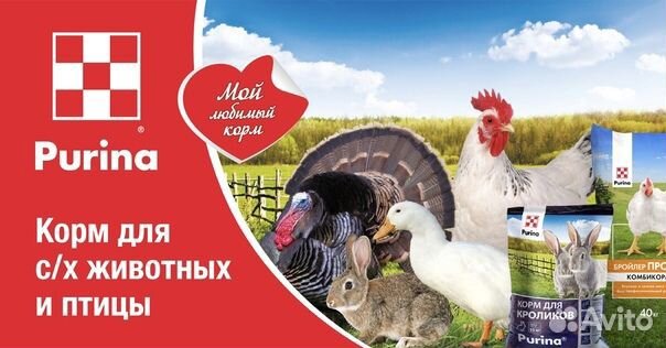 Purina корма для животных