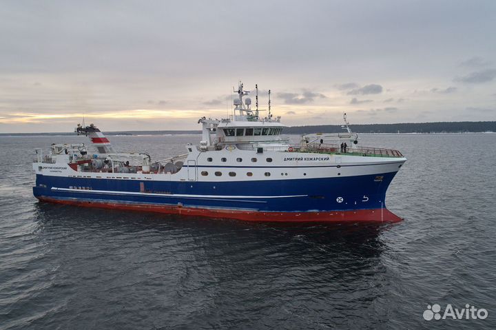 Матрос (добыча/обработка) рыбы