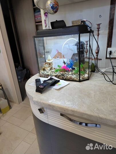 Аквариум 30л