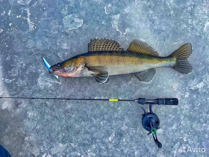 Рыбалка с гидом