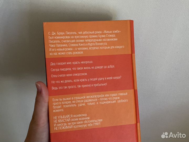 Книга «Похититель удачи» С.Дж.Браун