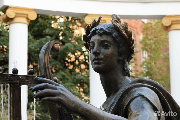 Начинающий фотограф