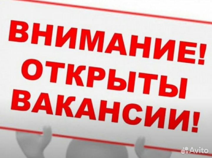 Мерчендайзер(р.Строитель)