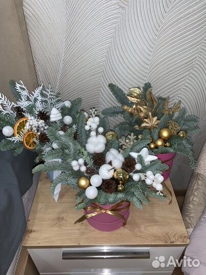 Ель нобилис - живая композиция в подарок