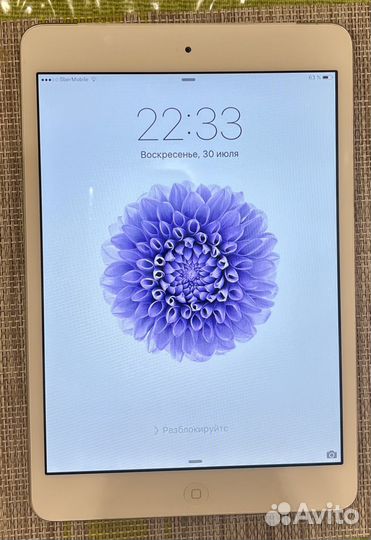 iPad mini a1455