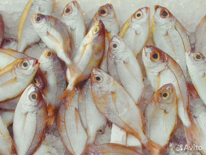 Продаётся магазин Морской Запал