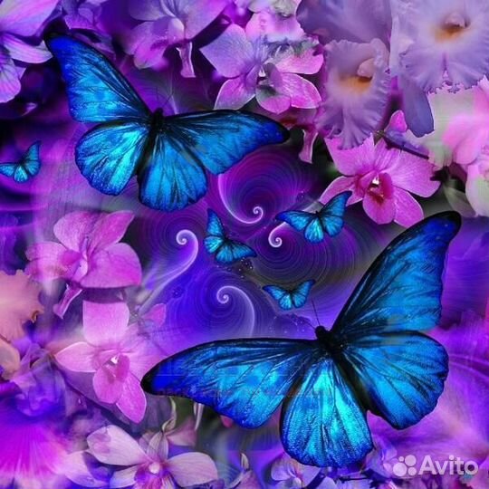 Картина по номерам 40x50 Бабочки на сиреневых