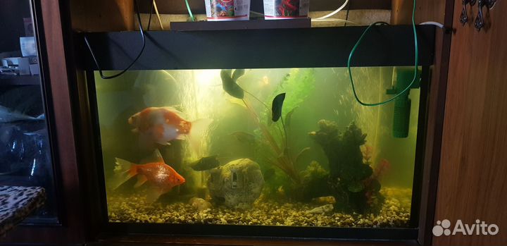 Аквариум со всем оборудованием