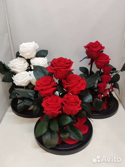 Розы оптом