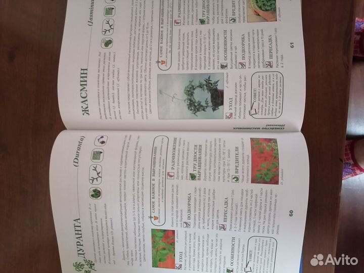 Книга о комнатных растениях