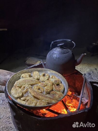 Рыбалка на Сулакском каньоне